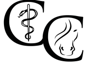 Carin Camp coaching met PaardenKracht