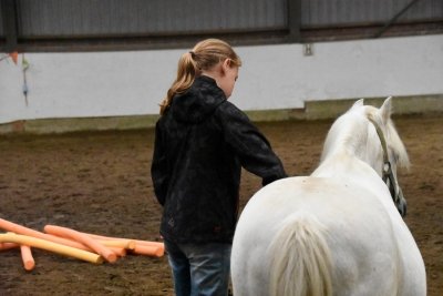 Coachen Carin Camp- paard-natuurgeneeskunde (30)