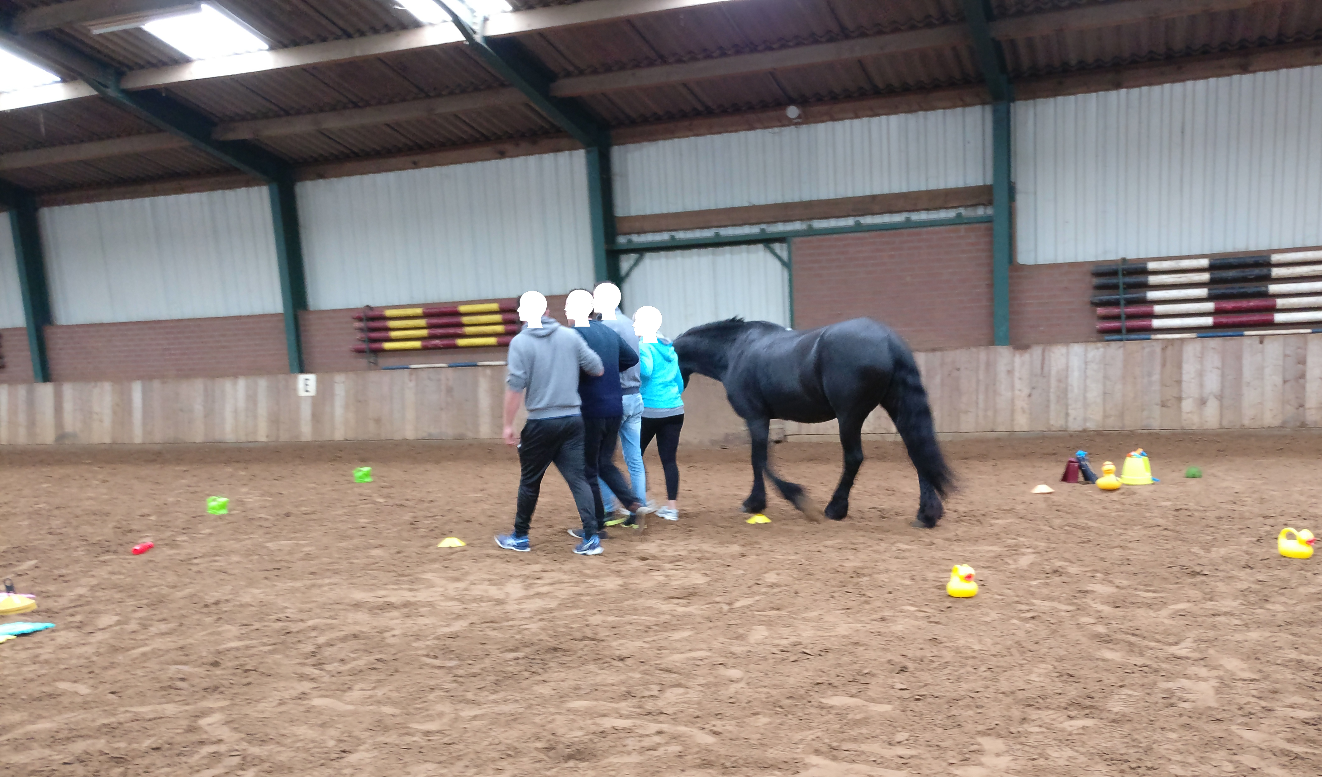 Carin Camp coaching met PaardenKracht