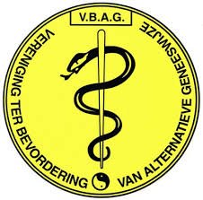 vbag logo