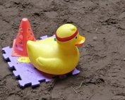 Carin Camp coachen met paarden